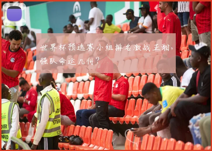 世界杯预选赛小组排名激战正酣，强队命运几何？