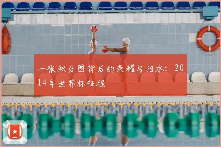 一张积分图背后的荣耀与泪水:2014年世界杯征程