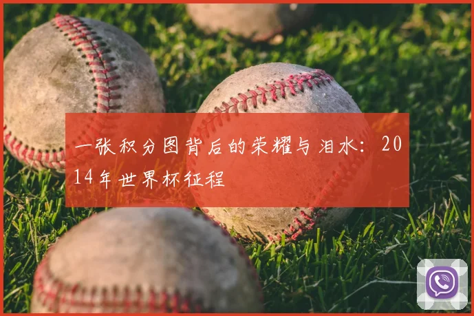 一张积分图背后的荣耀与泪水:2014年世界杯征程