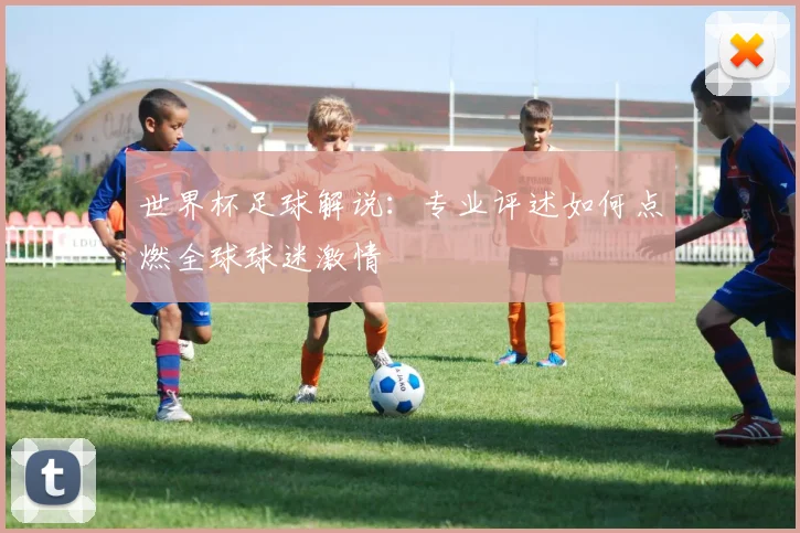 世界杯足球解说：专业评述如何点燃全球球迷激情