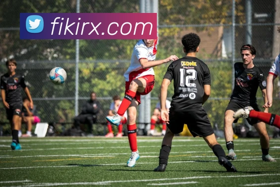 开云账号中心登录入口全站App